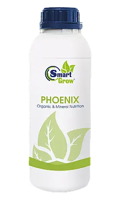 SmartGrow Phoenix Відновлення 1л, фото 1