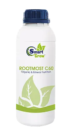 SmartGrow Rootmost C60 1л, фото 1