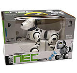 Іграшка Робот собака сенсорна на радіокеруванні, цуценя на пульті, іграшка музична, інтерактивна, фото 3