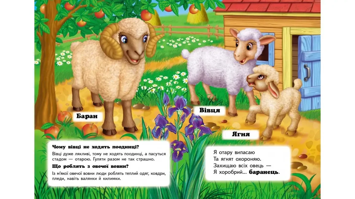 Product image preview