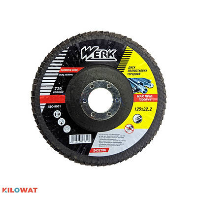 Круг пелюстковий конічний WERK 125х22,2 зернистий Р60 Т27
