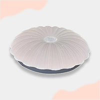 Світлодіодна люстра світильник LED 18Вт 26см біла кругла без пульта біле світло BIOM DEL-R605