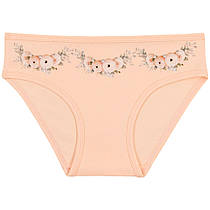 Трусики дитячі для дівчаток ТМ Baykar, Туреччина оптом р.1 (98-104 см)