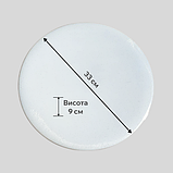 Світлодіодна люстра світильник BIOM 24Вт DL-R106-24, 33 см, холодне світло, кругла, біла, без пульта, фото 6