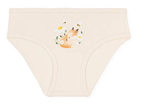 Трусики дитячі для дівчаток ТМ Baykar, Туреччина оптом р.2 (110-116 см)