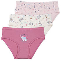 Трусики дитячі для дівчаток ТМ Baykar, Туреччина оптом р.1 (98-104 см)