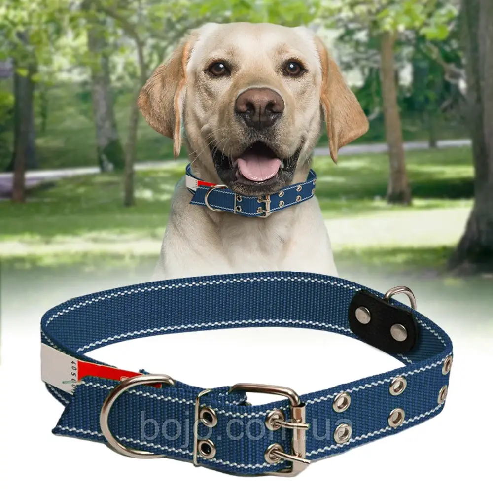 Нашийник капроновий для собак №136 повійний 40 мм - довжина 76 см, Синій (2021)