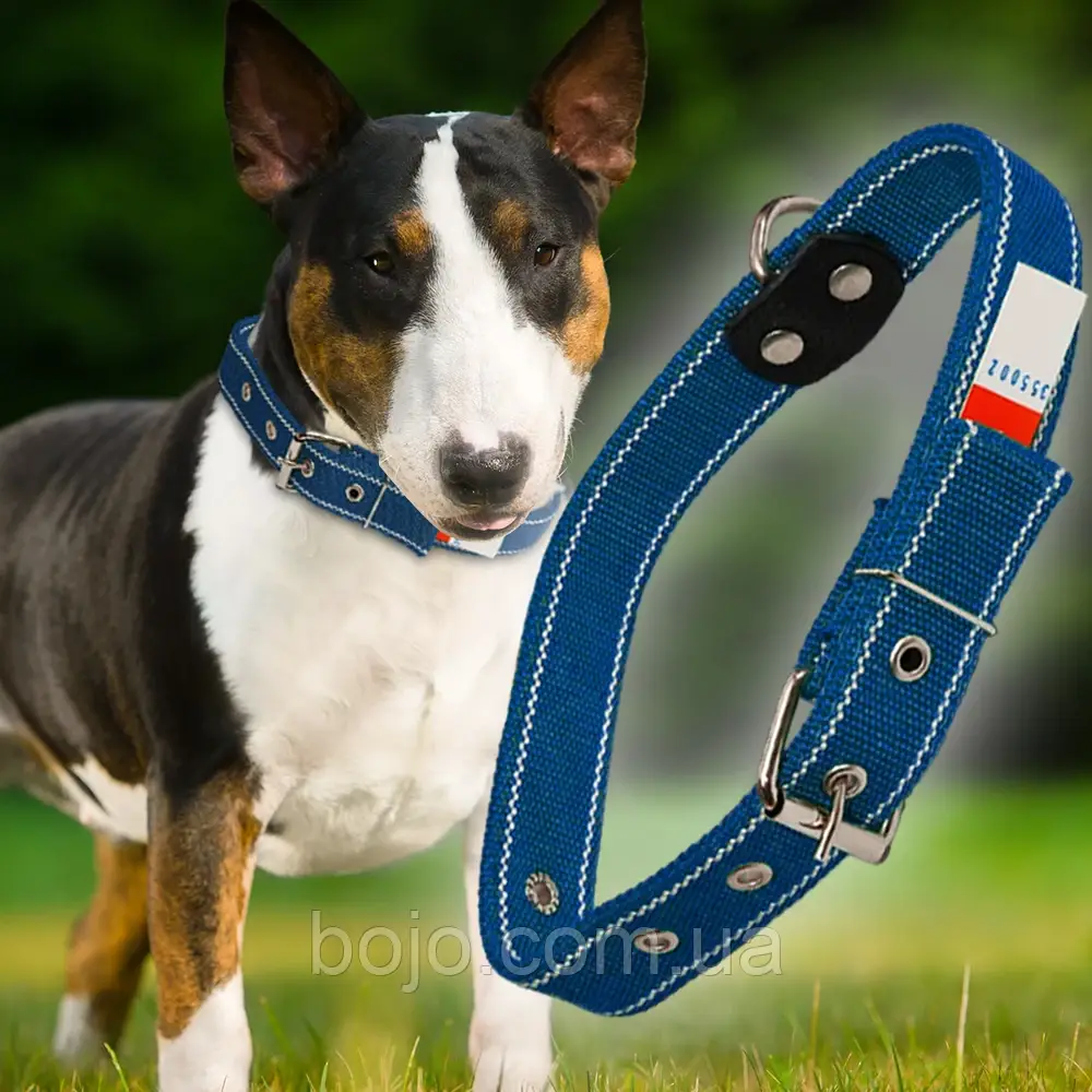 Нашийник капроновий для собак №134 подвійний 30 мм - довжина 57 см, Синій (2021)