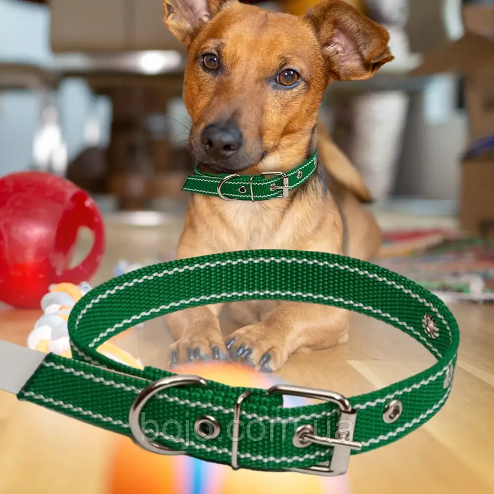 Нашийник капроновий для собак №127 одинарний 25 мм - довжина 44 см, Зелений (2021)