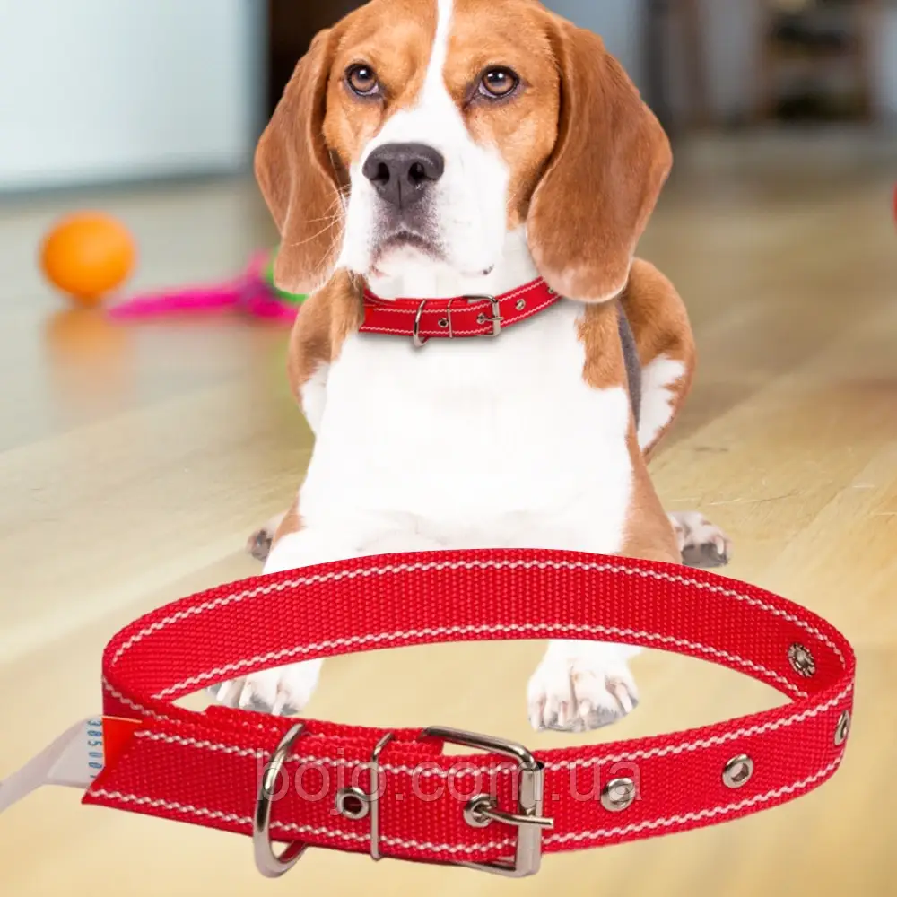 Нашийник капроновий для собак №128 одинарний 30 мм - довжина 52 см, Червоний (2021)