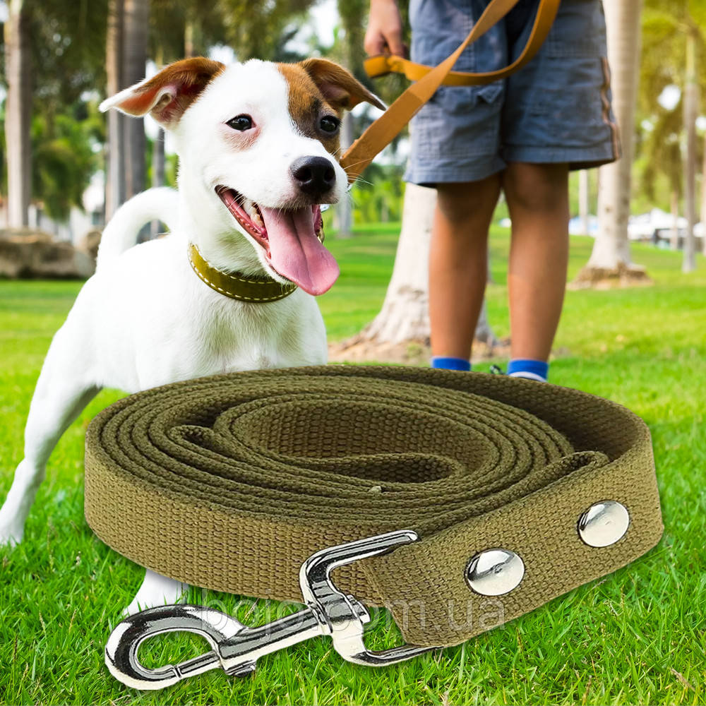 Універсальний повідець №158 із капрону для собак з карабіном для кріплення 20 мм - 2 м, Хакі (2021)