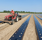 Мульча Shadow 30 мкм 1 м*10 м в плівка поліетиленова для мульчування пакетована, фото 6