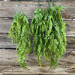 Кущ ампелястий папороті 75 см, фото 2