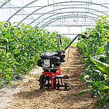 Мотокультиватор AL-KO MH 360, фото 4