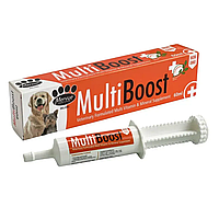 Mervue MultiBoost (Мерв'ю Мультибуст) мультивітамінна паста для собак для підтримки імунітету