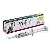Mervue ProBio (Мерв'ю Пробіо) паста з пробіотиками для котів для шлунково-кишкового тракту