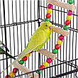 Простора металева карта Bird Cage для невеликих папуг і канарок, фото 6