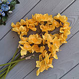 Букет нарциси 6 гілок, фото 2