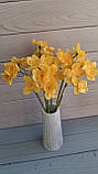 Букет нарциси 6 гілок, фото 5
