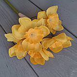 Букет нарциси 6 гілок, фото 6