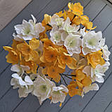 Букет нарциси 6 гілок, фото 7