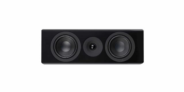 System Audio SA legend 10.2 silverback