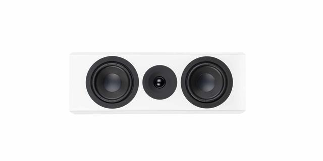 System Audio SA legend 10.2 silverback