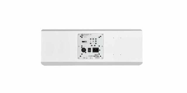 System Audio SA legend 10.2 silverback