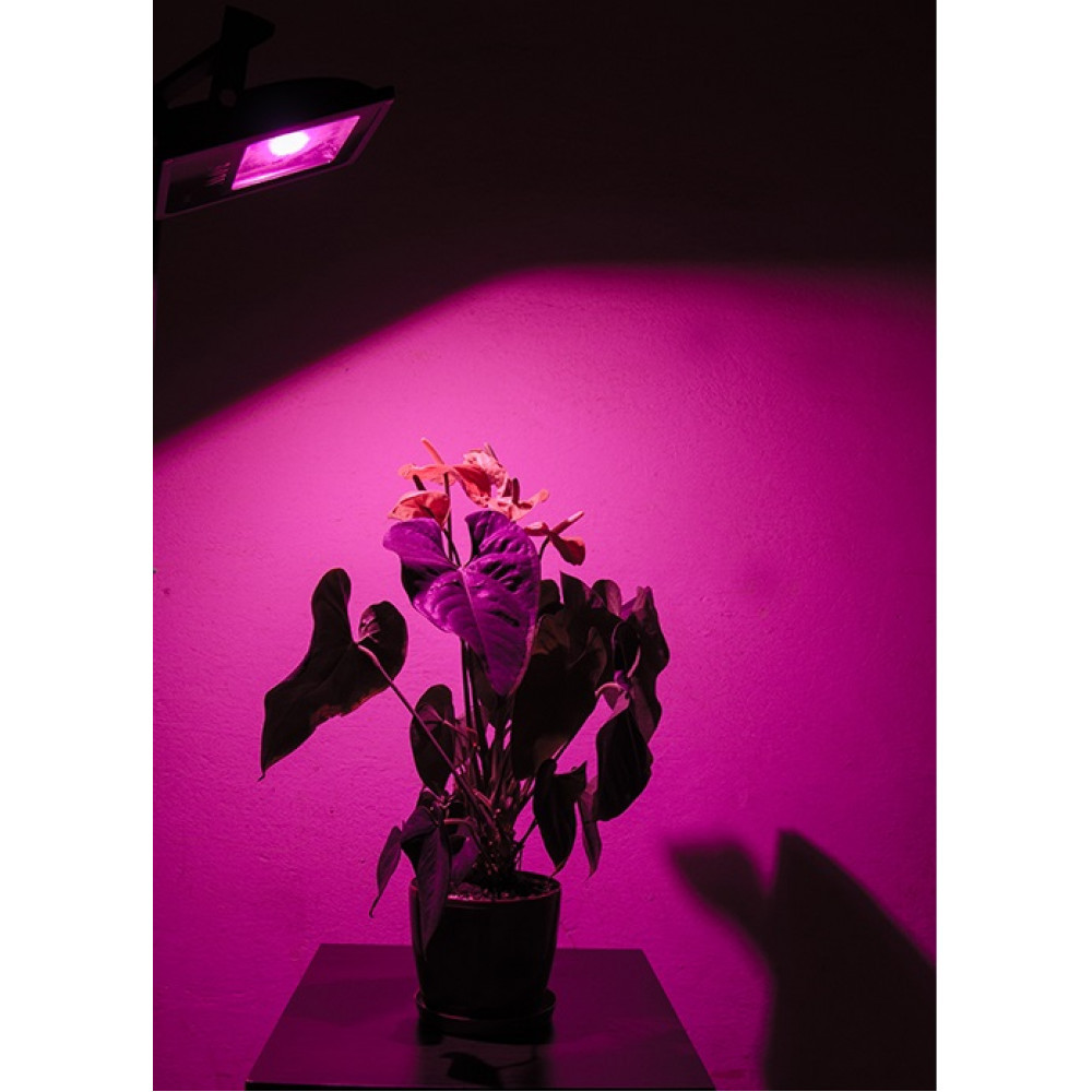 Фітопрожектор LED Vela Fito 50 W (full spectrum) IP65