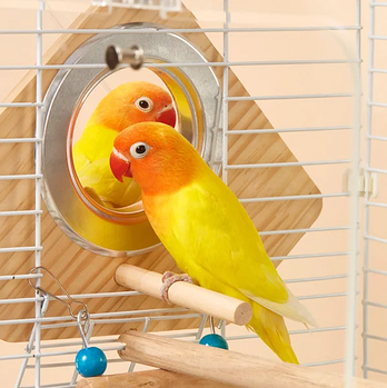 Будиночок для папуг для гніздування 16 х 16 х 10 см