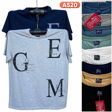 Чоловічі футболки №А526 р.XL-5XL (48-56) мікс, фото 1