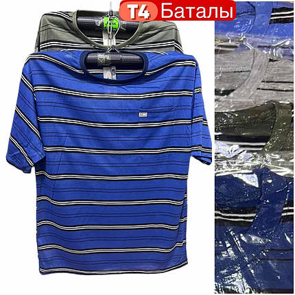 Чоловічі футболки №Т4 р.5XL-8XL (56-64) мікс, фото 1