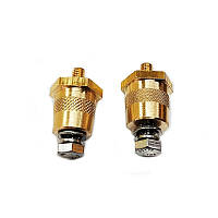 Стрижні штифти клеми для акумулятора різь М6 всередині-зовні (к-т 2 штуки)