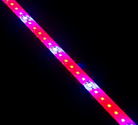 Лінійний Фітосвітильник SMD 12W 500 мм 380- 840 nm IP67