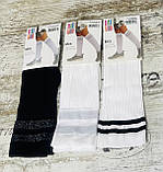 Безрозмірні чорні та білі гольфи в рубчик знизу, зі смужками зверху 60 Den, фото 3
