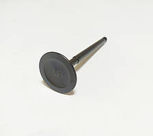 Клапан випускний двигуна NISSAN K21 № 13202FU400, 13202-FU400, фото 3