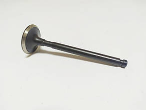 Клапан випускний двигуна NISSAN K25 № 13202FU400, 13202-FU400, фото 4