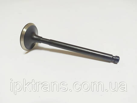 Клапан випускний NISSAN H15 № N-13202-50K02, N1320250K02, фото 1