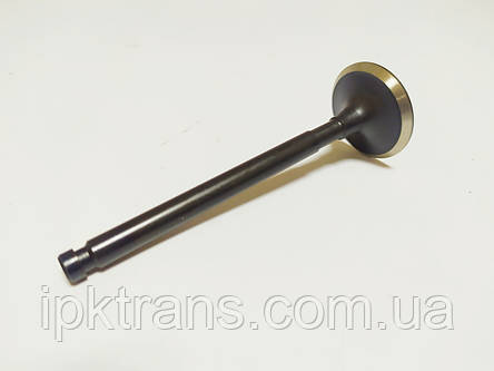 Клапан випускний NISSAN H15 № N-13202-50K02, N1320250K02, фото 3