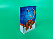 Пакети новорічні, миті, подарункові, Малий 11/18/5-009 (12 шт.)