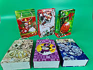 Новорічні пакети для подарунків, середній 17x26x8-027 асорті (12 шт.)