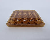 Упаковка для перепелиних яєць 20 комірок (квадратна) КОРІЧНЕВА (50 шт.)