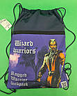Рюкзак TM Profiplan Wizard Warriors  blue (1 шт)
