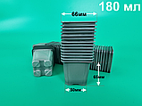 Стакан для розсади 180 мл квадратний (6/6)*(4,7/4,7) h65 (100 шт), фото 4
