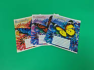 Зошит учнівський з малюнком на обкладинці 36листів карта (16 шт.)