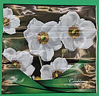 Пакет із пластиковою ручкою (36х37) "Косабланка" (10 шт.)