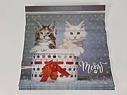 Пакет із пластиковою ручкою (36х37) "Коти Мау" (10 шт.)