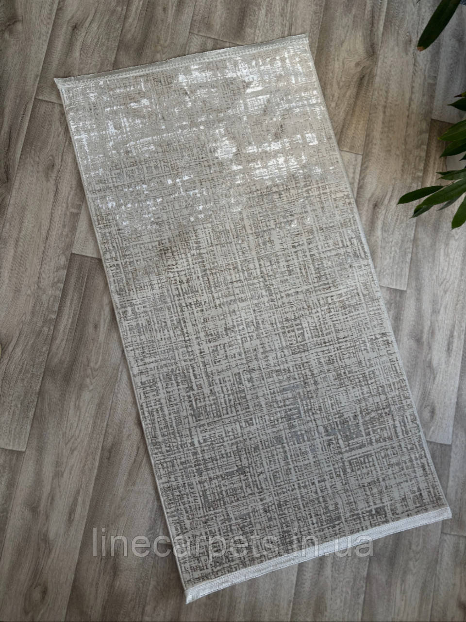 Сучасний килим високої щільності HELEN 1715A C.CREAM-GREY