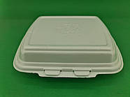 Ланчбокс зі спіненого полістиролу з кришкою (250*210*70) білий HP-1 (125 шт.)