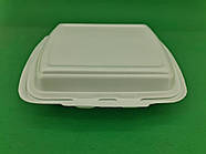 Ланчбокс зі спіненого полістиролу з кришкою (250*210*70) білий HP-2 (125 шт.)